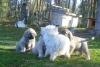 Filename=6_10_09_030.jpg
Filesize=268KiB
Dimensions=640x431
Date added=%458 %09, %2009 6_10_09_030.jpg