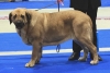 Filename=LahtiNellybos.JPG
Filesize=161KiB
Dimensions=640x432
Date added=%024 %18, %2011 LahtiNellybos.JPG