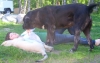 Filename=Linda_3_7_10_051.jpg
Filesize=222KiB
Dimensions=640x408
Date added=%351 %04, %2010 Linda_3_7_10_051.jpg