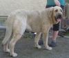 Filename=May2011_031.jpg
Filesize=203KiB
Dimensions=564x480
Date added=%982 %25, %2011 May2011_031.jpg