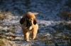 Filename=maravillisomarave.jpg
Filesize=67KiB
Dimensions=800x533
Date added=%265 %14, %2009 maravillisomarave.jpg
