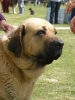 Filename=nelly2.jpg
Filesize=100KiB
Dimensions=692x922
Date added=%318 %02, %2010 nelly2.jpg