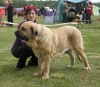 Filename=nelly4.jpg
Filesize=178KiB
Dimensions=962x839
Date added=%349 %04, %2010 nelly4.jpg