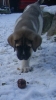 Filename=otto1.jpg
Filesize=150KiB
Dimensions=363x639
Date added=%915 %14, %2009 otto1.jpg