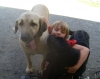 Filename=sanniandheranimals.jpg
Filesize=167KiB
Dimensions=606x479
Date added=%248 %27, %2009 sanniandheranimals.jpg