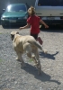Filename=sanniandlolarunningtogether.jpg
Filesize=205KiB
Dimensions=449x639
Date added=%248 %27, %2009 sanniandlolarunningtogether.jpg