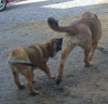 Filename=wandasfirstday_039.jpg
Filesize=182KiB
Dimensions=495x480
Date added=%925 %22, %2010 wandasfirstday_039.jpg