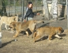Filename=wandasfirstday_060.jpg
Filesize=275KiB
Dimensions=611x479
Date added=%926 %22, %2010 wandasfirstday_060.jpg
