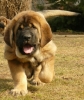 Filename=wonder81.jpg
Filesize=89KiB
Dimensions=433x513
Date added=%922 %22, %2010 wonder81.jpg