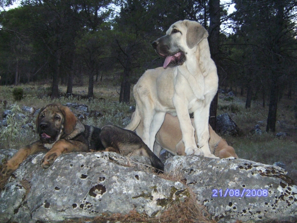 LUNA Y CARRÁS
