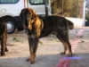 Filename=SANY2732.JPG
Filesize=159KiB
Dimensions=640x480
Date added=%929 %11, %2010 SANY2732.JPG