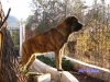 Filename=SANY2736.JPG
Filesize=218KiB
Dimensions=640x480
Date added=%928 %11, %2010 SANY2736.JPG