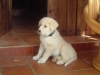 Filename=mia_010.jpg
Filesize=188KiB
Dimensions=800x600
Date added=%526 %06, %2008 mia_010.jpg
