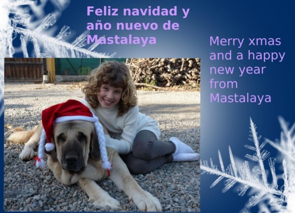 MERRY CHRISTMAS SALLY!!   ! FELIZ NAVIDAD SALLY !
Big hugs to you from me, Natalie and Jose, have a wonderful Christmas! 
xxxxxxxxxxxxxxxx
Keywords: xmas