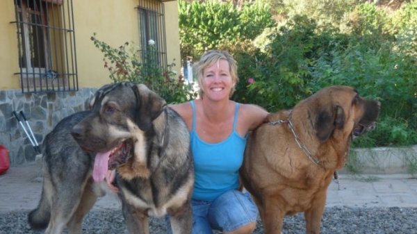 ONEGA DE CAMPOLLANO Y SU NOVIA DINA
Yo, y nuestro Milo ( Onega de Campollano) con su novia Dina de Campollano. 
Me, Milo (Onega de Campollano) with his beautiful girlfriend Dina de Campollano. 
a beautiful pair!  !que pareja mas guapo!
Keywords: Onega de Campollano