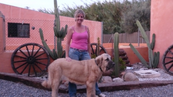 LINDA ( nuestra Nube) 
as you can see she is getting bigger! only ten months old and she is very tall!
como lo veas esta creciendo mas grande, con solo diez meses, es muy alta. 
Keywords: MASTALAYA