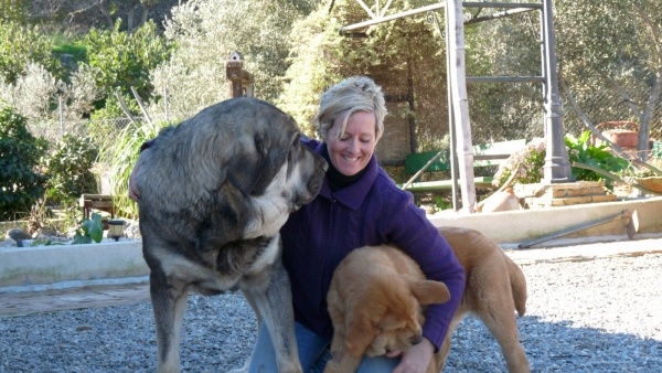 Two of my babys;
Onega de Campollano ( who everybody knows as  Milo) , Cloe and me!
Keywords: MASTALAYA Onega de Campollano and Cloe de los Cuatro Elementos.