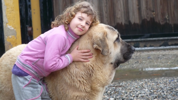 Cuddles; Abrazos
Natalie and Nube ( pedigree name LINDA) 
Nube means cloud in english for people who don't know, and Natalie has chosen all of our dogs names!
I
Keywords: Linda ( nuestra Nube)