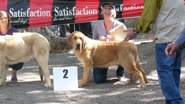 CLOE DE LOS CUATRO ELEMENTOS  2nd female pup class, 2 cachorras hembras. 
Me and Cloe , very happy!
Keywords: CLOE DE LOS CUATRO ELEMENTOS