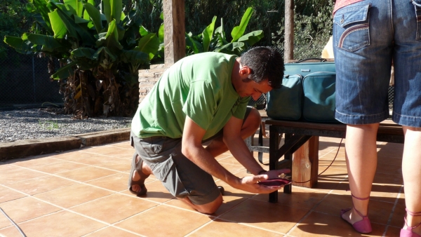 vetinario sacando la sangre de Canela- vets taking Canelas blood
la perra tiene que estar en alto encima la mesa donde un vetinario la pincha y ponga la tuberia, la bolsa tiene que estar abajo, asi la sangre baja mas facilmente. La vetinaria va moviendo la pata de Canela para que corre la sangre tambien. 
the dog has to be on top of the table where the vet puts a needle into her vein, she attaches the tube and the bag which collects the blood has to be below, this is so the blood runs faster. The vet was moving her leg also, which makes the blood move faster. 
