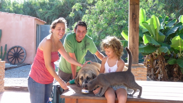 Canela donante de sangre- Canela blood donor.  
This is when it was all finished, Canela got to lick a tin of special pate given to her by the vets, and Cuki jumped up on the table and had to have his share too! cheeky cat hahahaha! 
Ya todo terminado, Canela tenia una lata de pate riquisma llena de minerales y vitaminas que lo traido los vetinarios, y CUKI, el gato salto encima la mesa y tenia que chuparse algo tambien -! que cara! jajajaja 
Keywords: Canela Lifesaver, Salva vidas