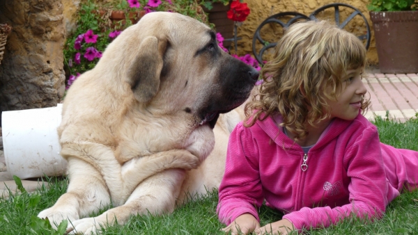 ¿Que miras? What you looking at? 
Natalie y Nube (Leon Septiembre 2010) 
Keywords: Linda/ Nube/Mastalaya