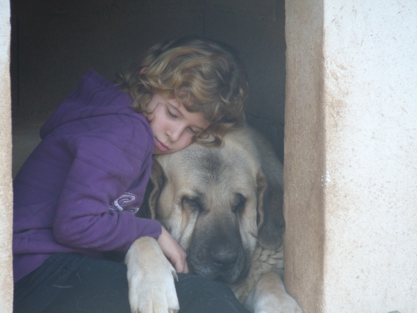 Natalie y Nube ... in the dog house!  en la caseta de perros!
No  estan castigados jajaja, they are not punished ok! 
Natalie decided she wanted to go give Nube a cuddles, the look on Natalies face ...  is awwwwww my baby Nube come and cuddle me.
Natalie quieria dar Nube unos abrazos, y la mirada en su cara es... aooooooooo mi niña Nube , vente a dar me un abrazo.  
Esta foto es pura ternura,y amor me encanta- 
I love this photo, its just so tender and shows love. 
Keywords: Linda/ Nube/Mastalaya/Natalie Hernandez Pemberton