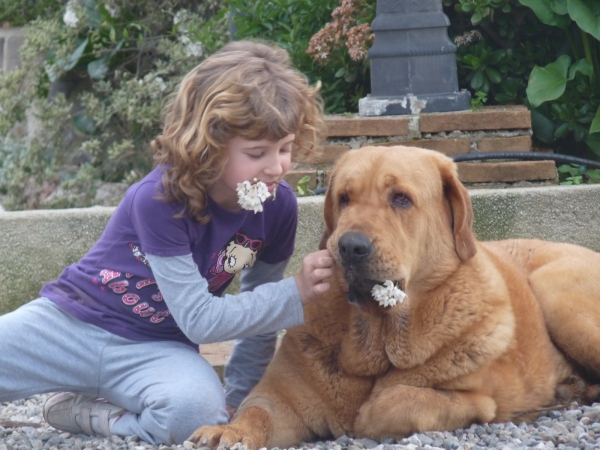 Natalie and Cloe los Cuatro Elementos
Keywords: Cloe los cuatro elementos/mastalaya