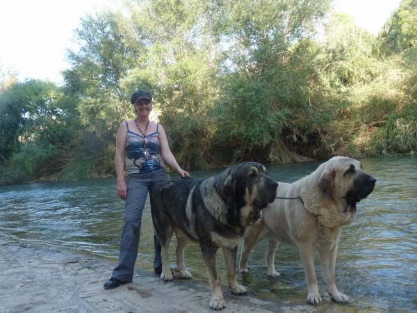Onega de Campollano  ( Milo) y Linda (Nube) en el rio Velez Benaudalla Granada. 
Keywords: 2011 mastalaya