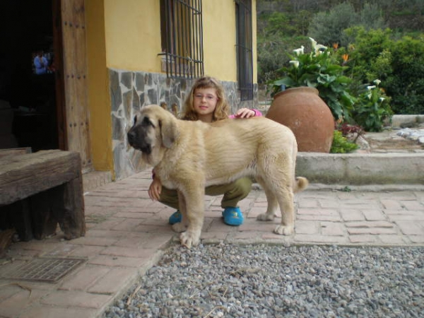 Nube y Natalie
Nube y Natalie en el jardin, in the garden. 
Keywords: mastalaya