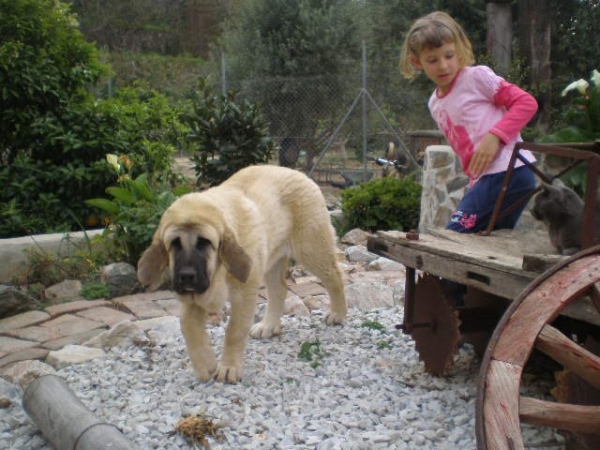 LINDA ( nuestra Nube) 
found some photos of when Nube was younger earlier on this yr. 
He encontrado algunos fotos de Nube cuando era mas joven, en los meses del principio del año. 
Keywords: MASTALAYA