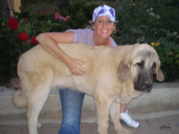 NUBE (NOMBRE DE PEDIGREE ES LINDA)  CON 6 MESES. 
Nube and me in the garden, en el jardin. 
Keywords: mastalaya