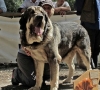 Mejor-macho-Onega-de#61ADFC_[HDTV_(720)].jpg