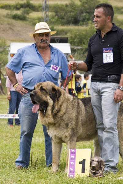 Ringo Mejor Ejemplar absoluto Concurso de Prioro 2009
Keywords: piscardos 2009