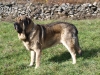Filename=RINGO5.jpg
Filesize=902KiB
Dimensions=912x684
Date added=%589 %22, %2008 RINGO5.jpg