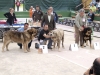 Filename=_5018526.jpg
Filesize=217KiB
Dimensions=800x600
Date added=%986 %03, %2010 _5018526.jpg