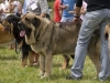 Filename=_6278825.jpg
Filesize=202KiB
Dimensions=800x600
Date added=%979 %29, %2009 _6278825.jpg