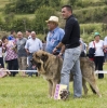 Filename=_6278933.jpg
Filesize=162KiB
Dimensions=600x602
Date added=%978 %29, %2009 _6278933.jpg