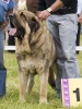Filename=_6278939.jpg
Filesize=178KiB
Dimensions=600x800
Date added=%978 %29, %2009 _6278939.jpg