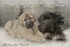 Filename=postal.jpg
Filesize=206KiB
Dimensions=874x600
Date added=%828 %17, %2010 postal.jpg