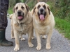 Filename=100_0386.JPG
Filesize=1864KiB
Dimensions=1625x1222
Date added=%760 %26, %2008 100_0386.JPG