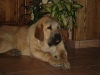 Filename=PC290149.JPG
Filesize=177KiB
Dimensions=640x480
Date added=%962 %28, %2008 PC290149.JPG