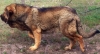 Filename=image~11.jpg
Filesize=206KiB
Dimensions=852x464
Date added=%578 %11, %2014 image~11.jpg