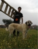 Filename=Babu.jpg
Filesize=49KiB
Dimensions=495x633
Date added=%714 %25, %2010 Babu.jpg