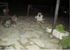 Filename=Lluvia_y_Lucera.jpg
Filesize=70KiB
Dimensions=877x637
Date added=%817 %01, %2010 Lluvia_y_Lucera.jpg