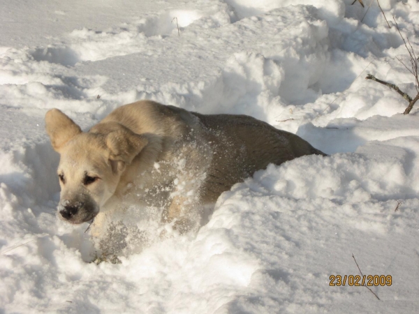 Tula de Fuente Mimbre
Keywords: snow nieve Tiia