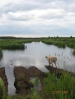Filename=Tula_ja_s_033.jpg
Filesize=90KiB
Dimensions=741x988
Date added=%504 %28, %2009 Tula_ja_s_033.jpg