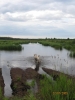 Filename=Tula_ja_s_034.jpg
Filesize=97KiB
Dimensions=720x960
Date added=%504 %28, %2009 Tula_ja_s_034.jpg