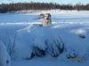 Filename=helmikuu_026.jpg
Filesize=99KiB
Dimensions=1040x780
Date added=%492 %20, %2010 helmikuu_026.jpg