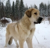 Filename=hhh.jpg
Filesize=45KiB
Dimensions=493x480
Date added=%615 %13, %2008 hhh.jpg